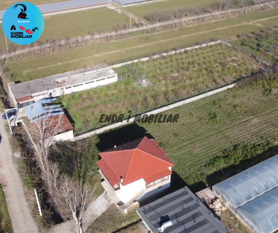 Shitet Toke & Ferme ne Jagodine