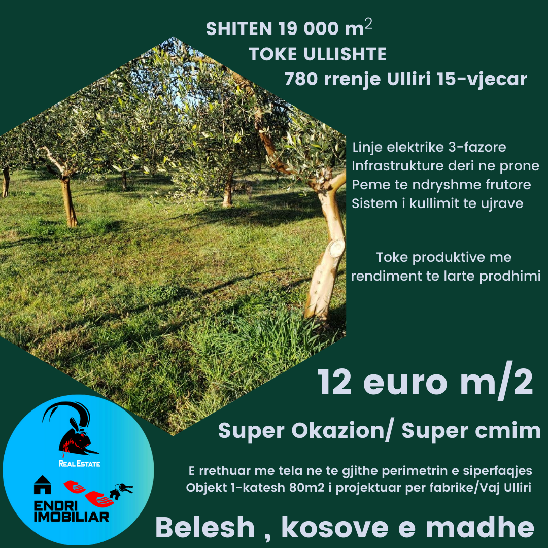 Shitet Toke Ullishte ne Kosove te Belshit