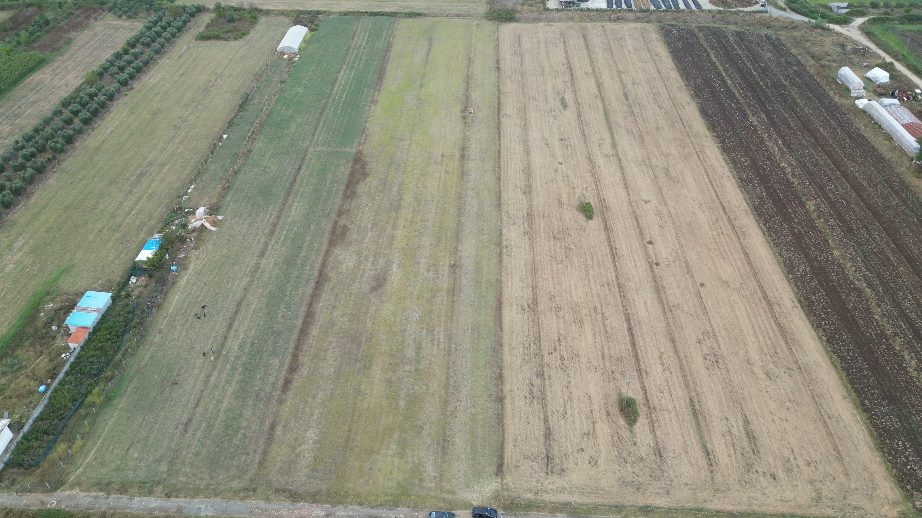 SHITET toke buqesore ne Cerrik/ferme