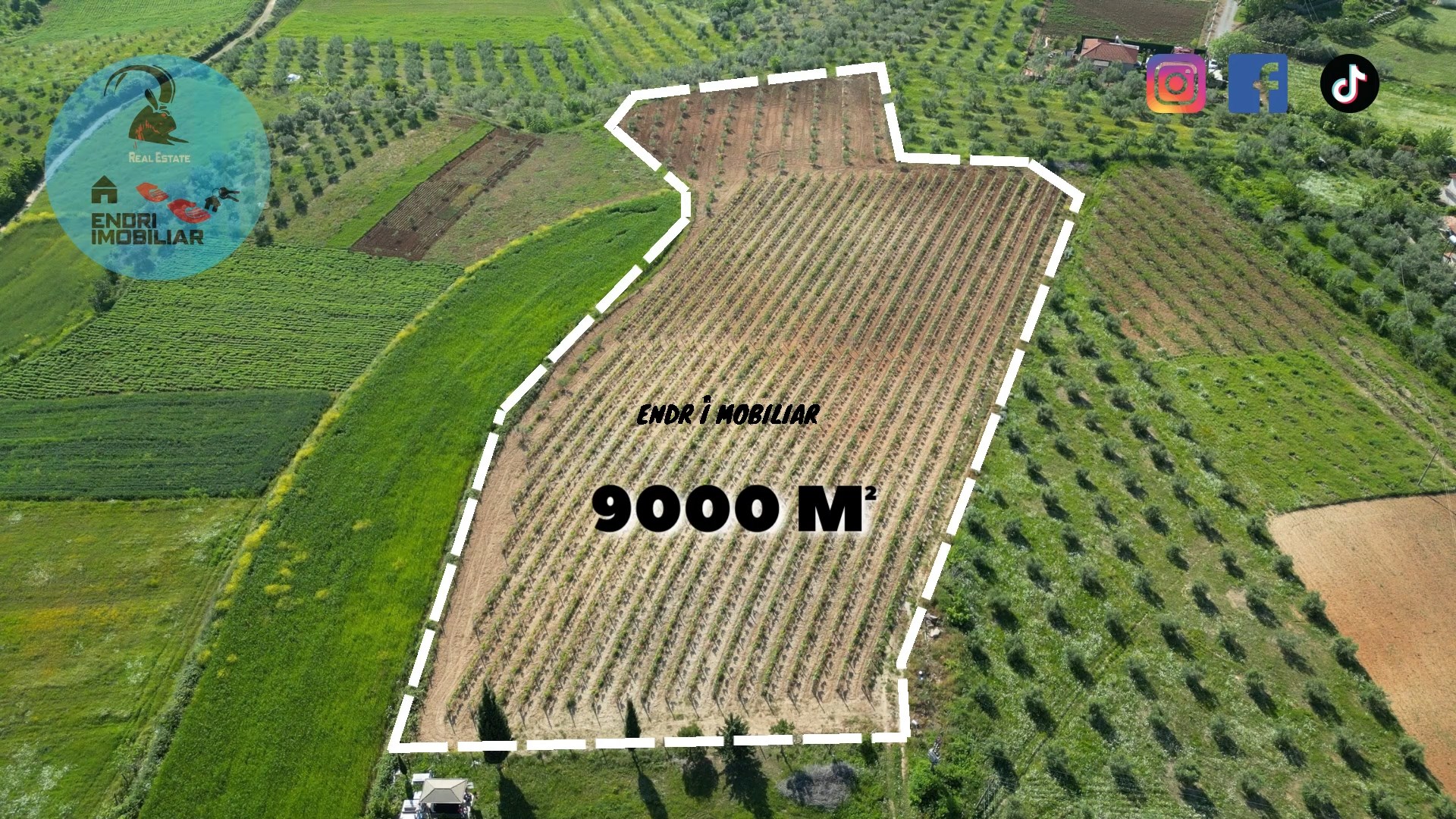 SHITET SUPER VRESHTE