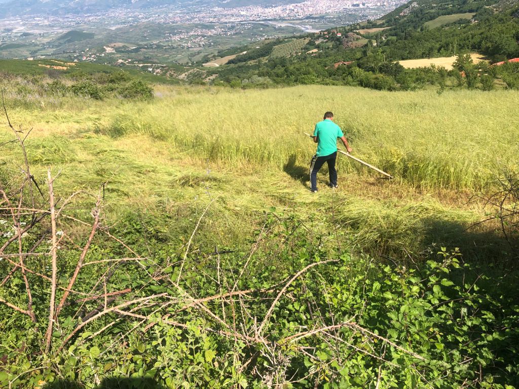 SHITET TOKE  ne fshatin shelcen me Pamje te bukur