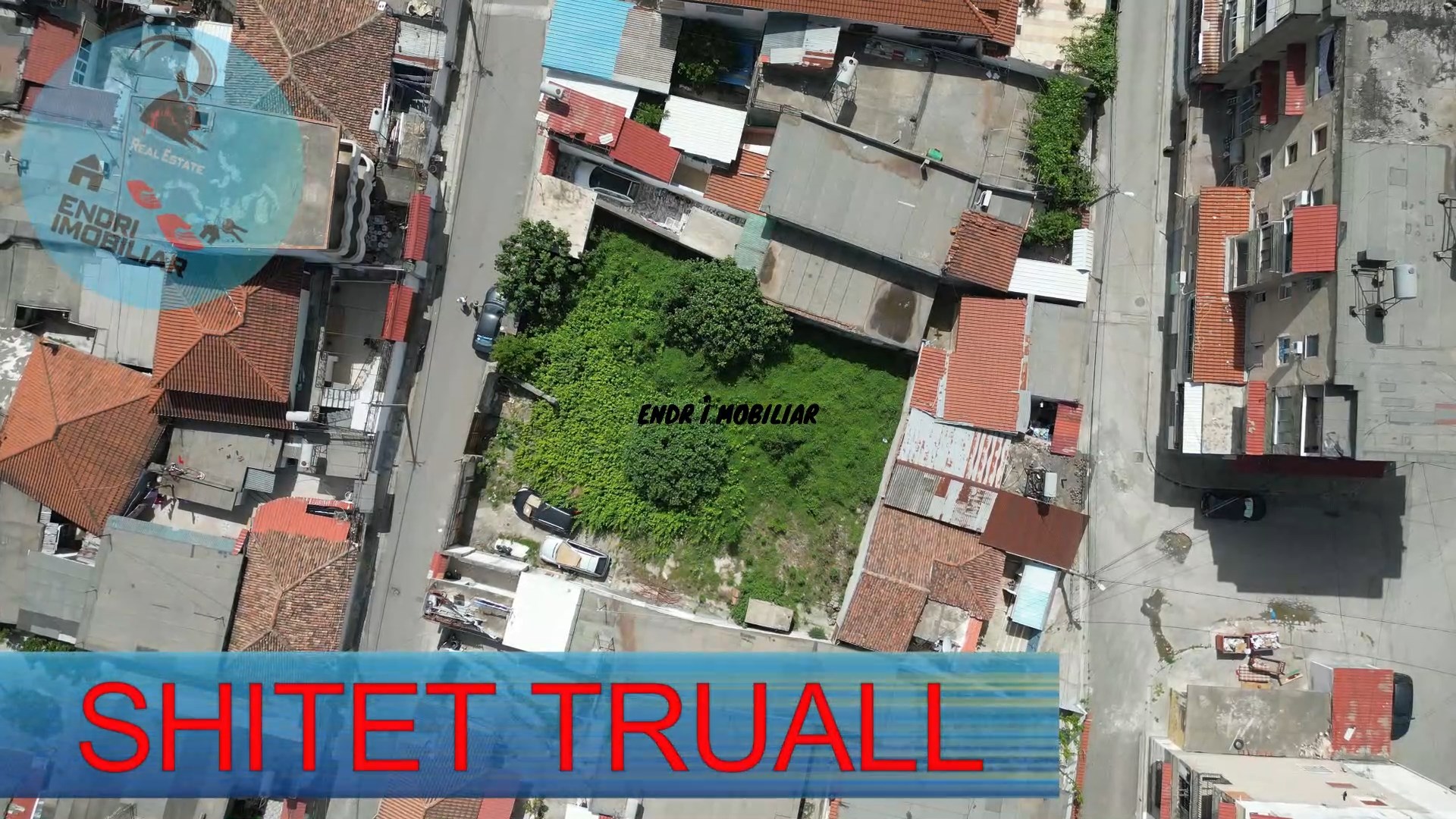 SHITET TRUALL PER BIZNES