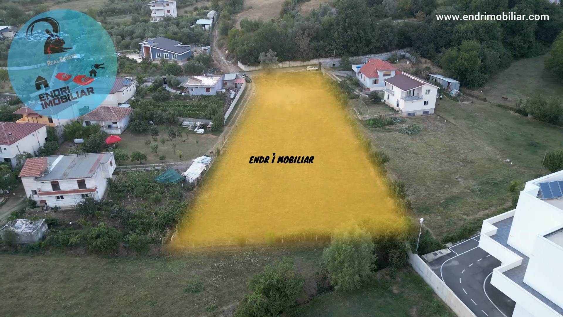 SHITET TOKE ARE NE MULLET