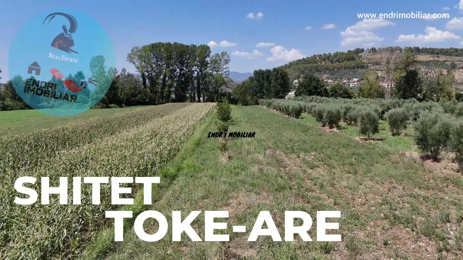 Shitet Toke Are ne Byshek