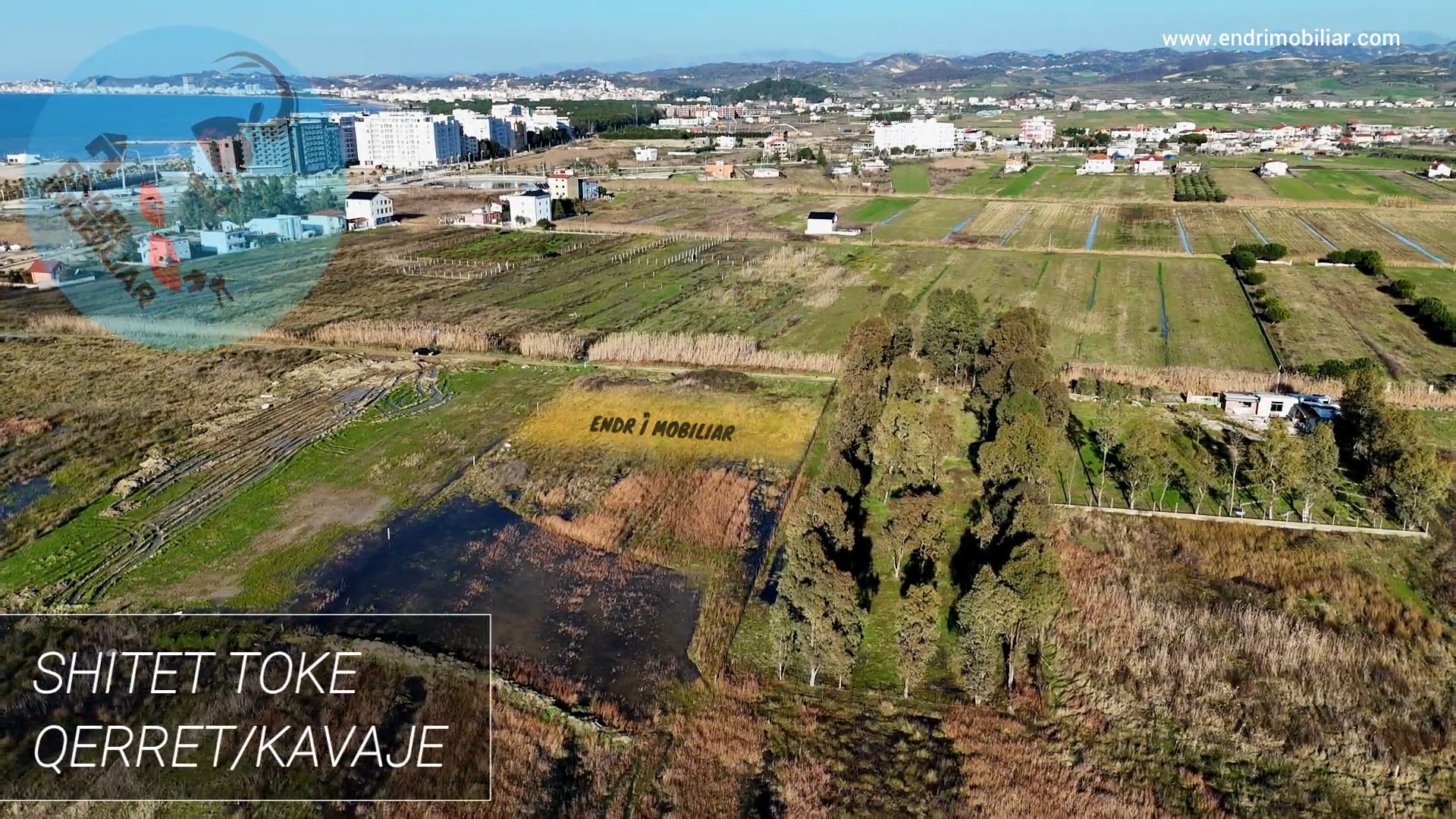 Shitet Toke ne Qerret